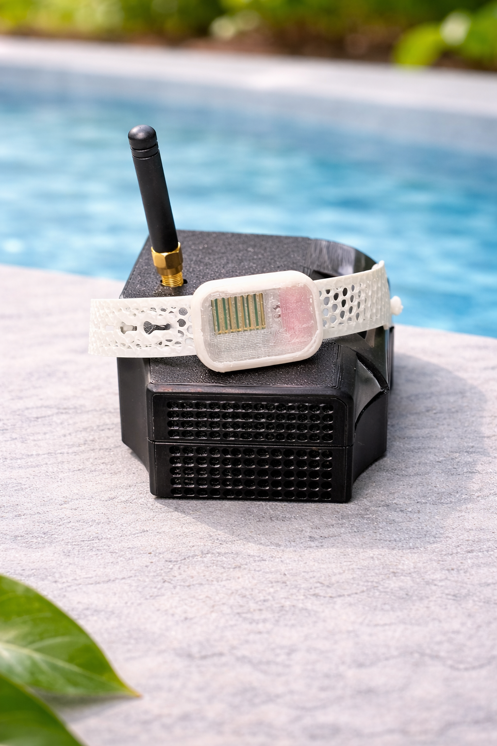 WaterWatch Safety System (Hub + 1 Band)